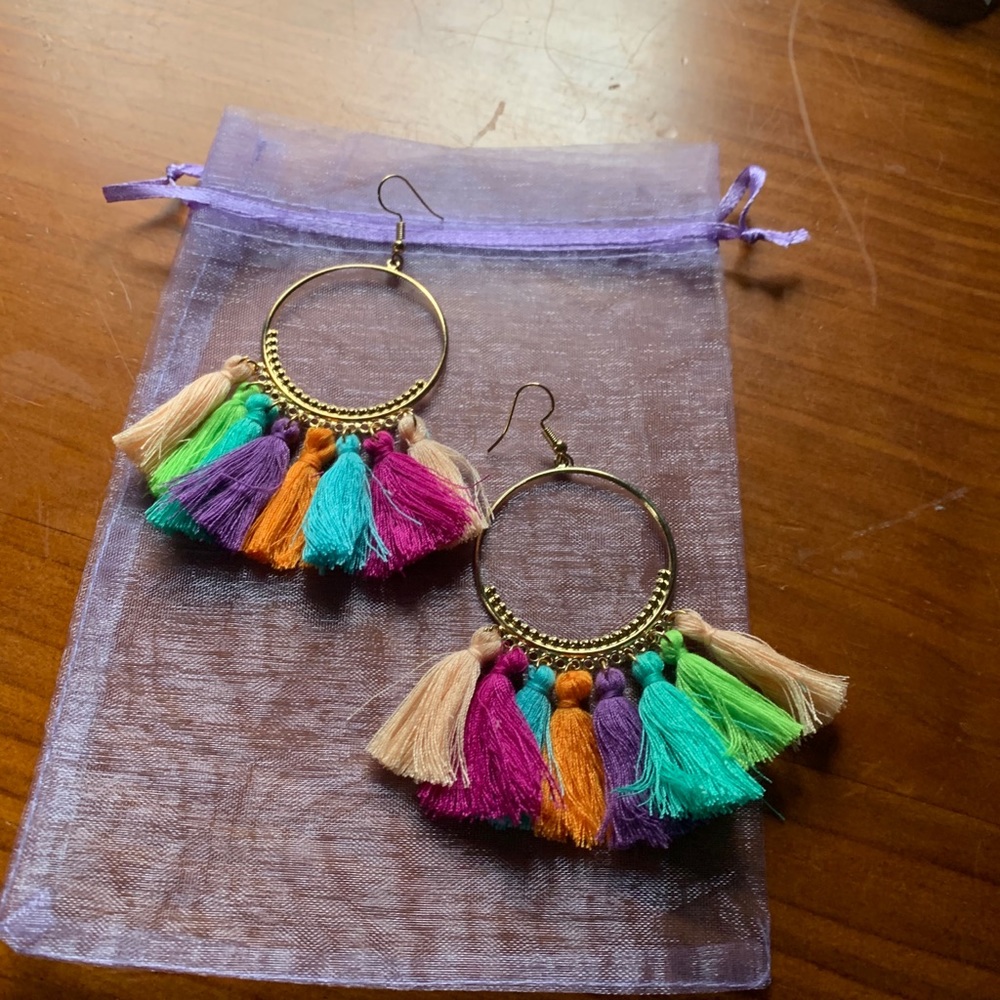 Tassel Hoop Earrings